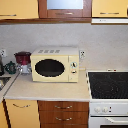 Apartament Central *