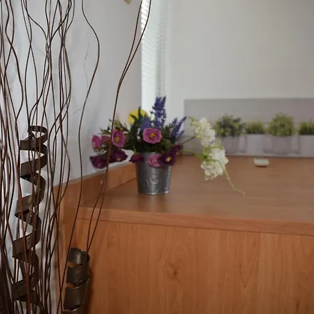 Apartament Central